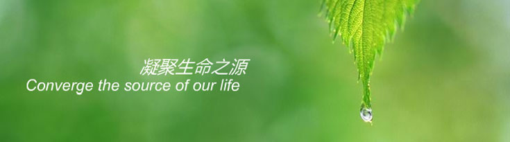 裝盒機生產廠家